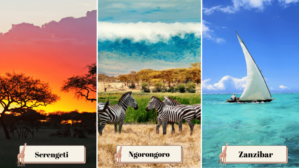 meilleure destination 2025 Tanzanie